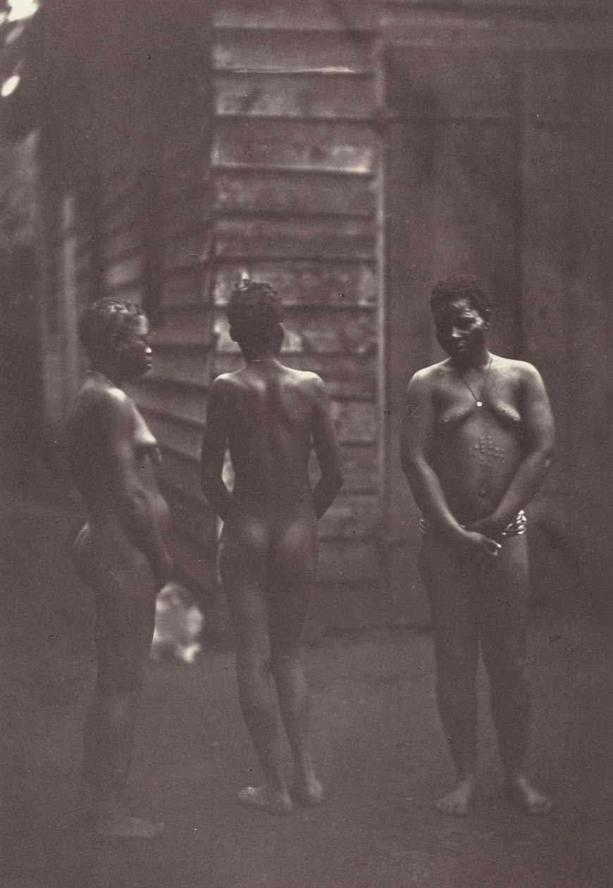 Trois Femmes Malgaches (Plate 30),1863 (photo) - Désiré Charnay