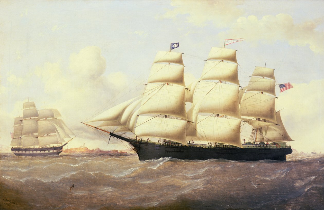 Alice Counce - Duncan Mcfarlane