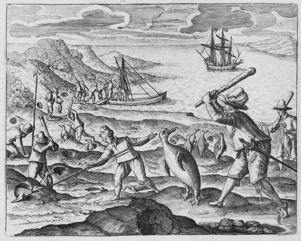 Chasse au pingouin, 1598 - Dutch School