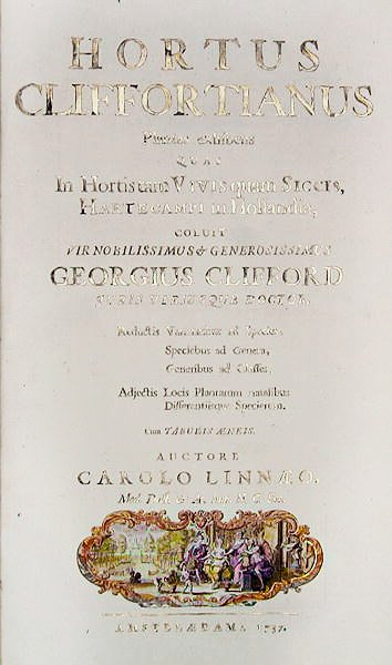 Page de titre de Hortus Cliffortianus par Carl Linnaeus, Amsterdam, 1737 - Dutch School