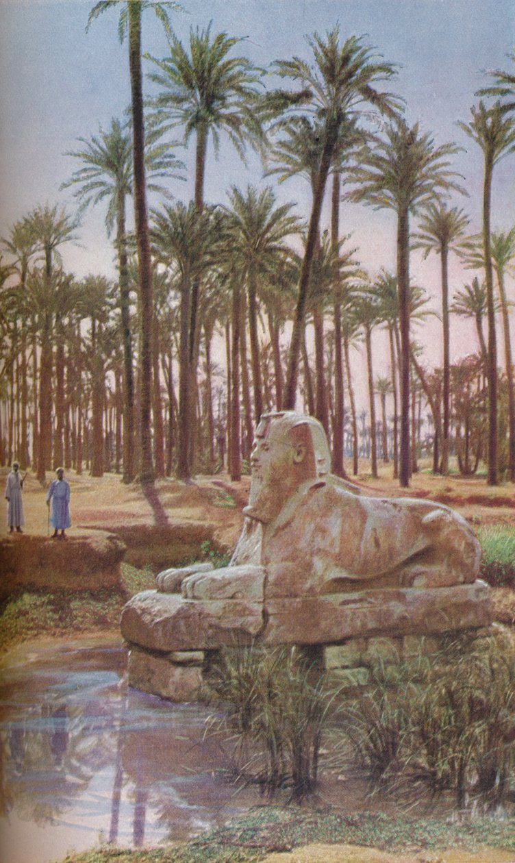 Égypte - ENA