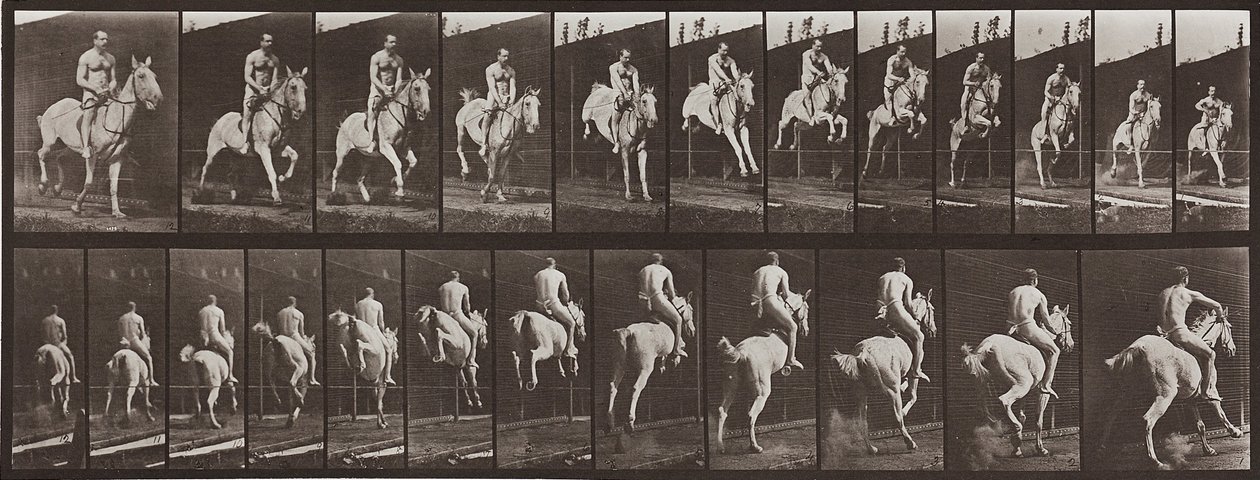 Locomotion animale, Planche 646 - Eadweard Muybridge