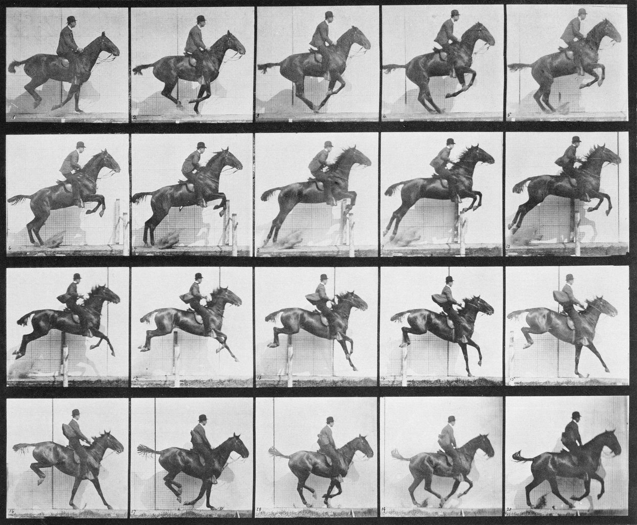 Homme et cheval sautant une clôture, planche 640 de 