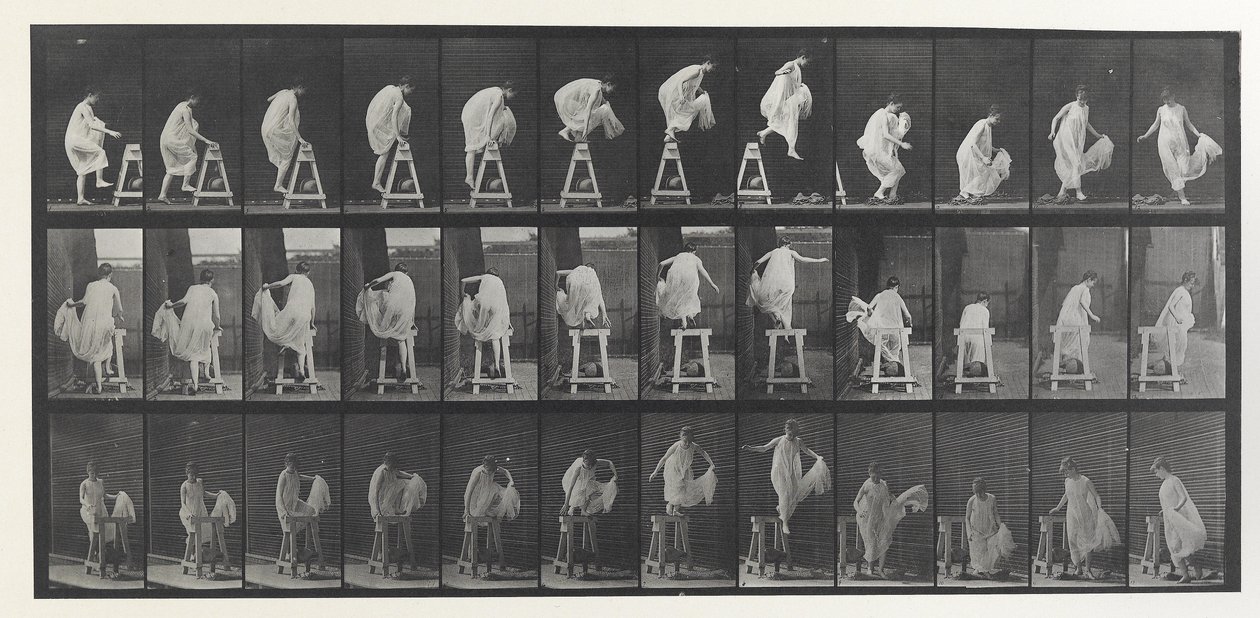 Planche de locomotion animale - Eadweard Muybridge