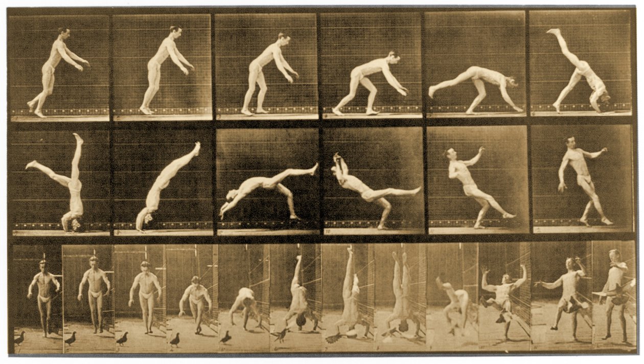 Planche de la série 