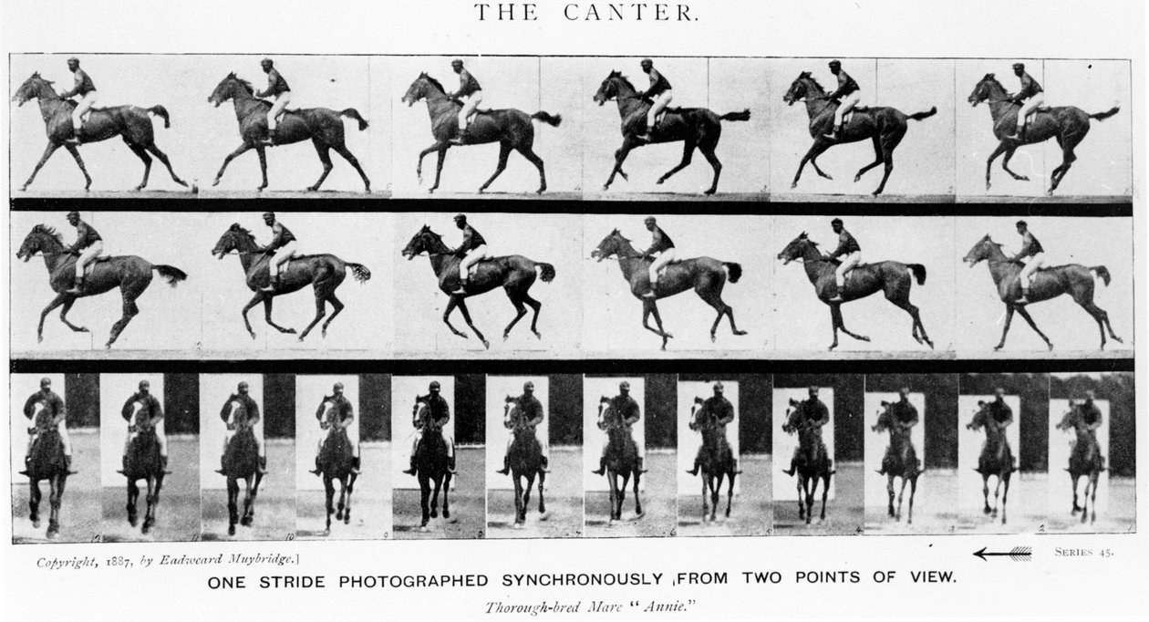 Le galop : une foulée photographiée simultanément de deux points de vue, 1887, illustration de 