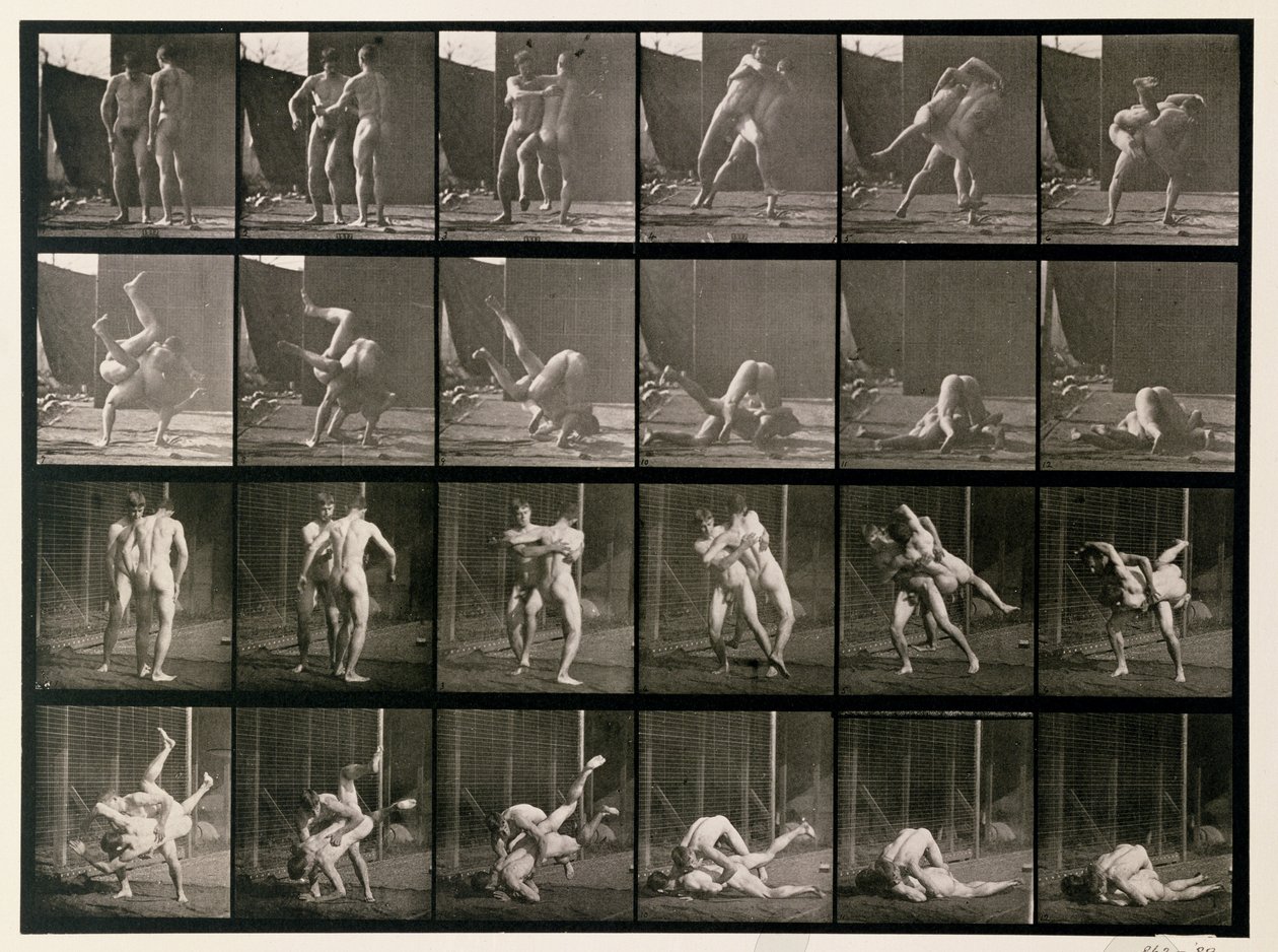 Deux Hommes Luttant, planche 348 de 