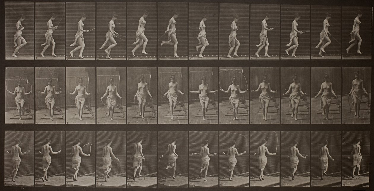 Locomotion animale, planche 174 - Eadweard Muybridge