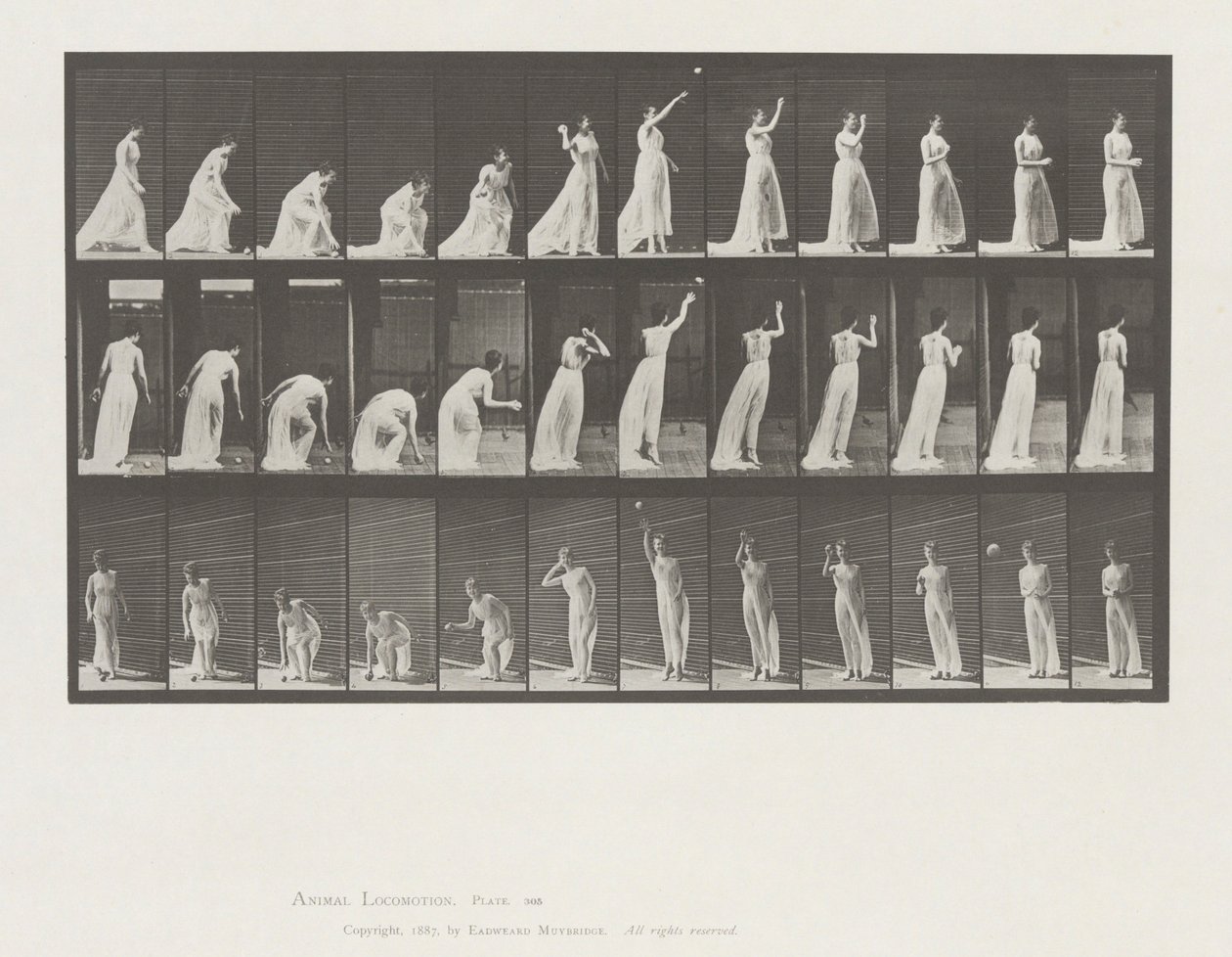 Animal Locomotion, Planche 305 - Eadweard Muybridge
