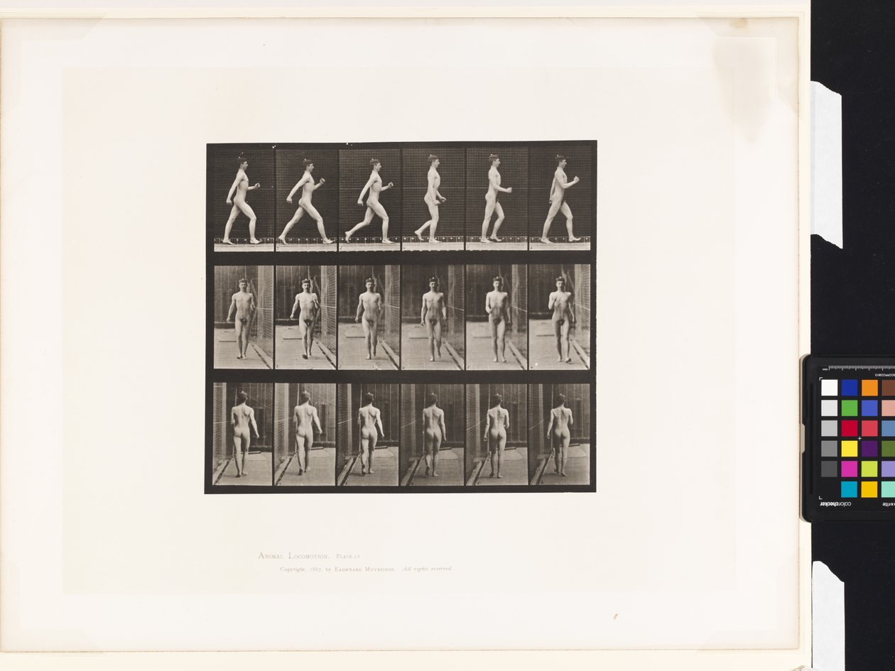 Planche 10. Marche - Eadweard Muybridge