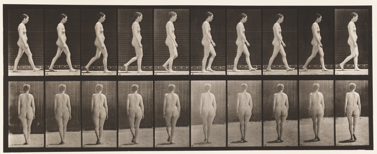 Planche 15. Marcher - Eadweard Muybridge