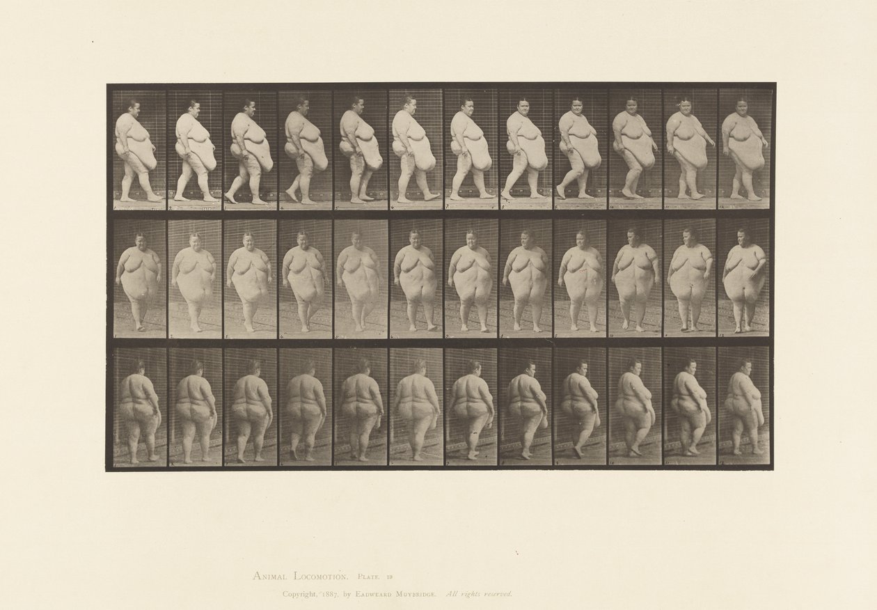Planche 19. Marche, Commence à Se Retourner - Eadweard Muybridge