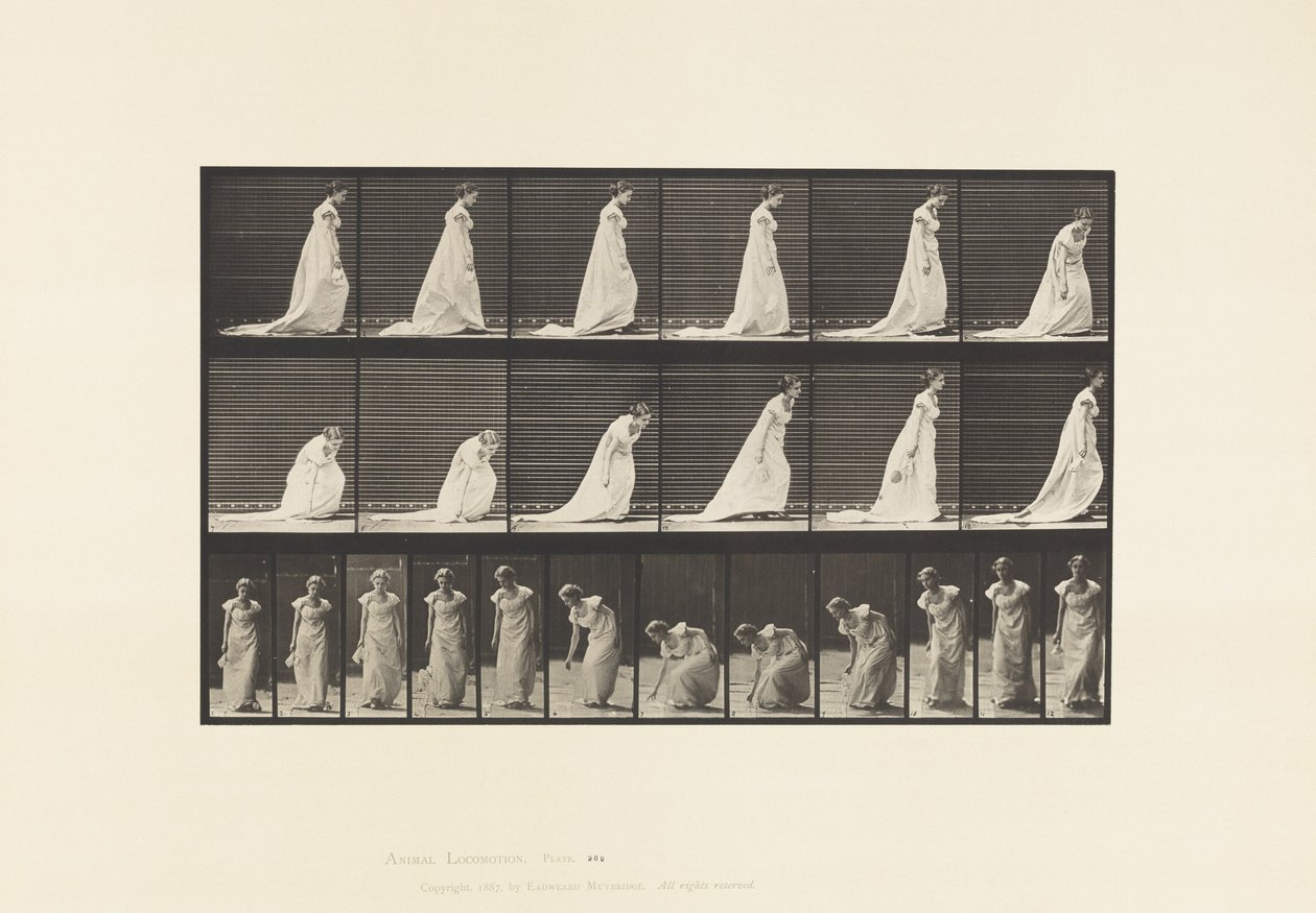 Planche 209. Se penchant et soulevant un mouchoir, 1885 - Eadweard Muybridge
