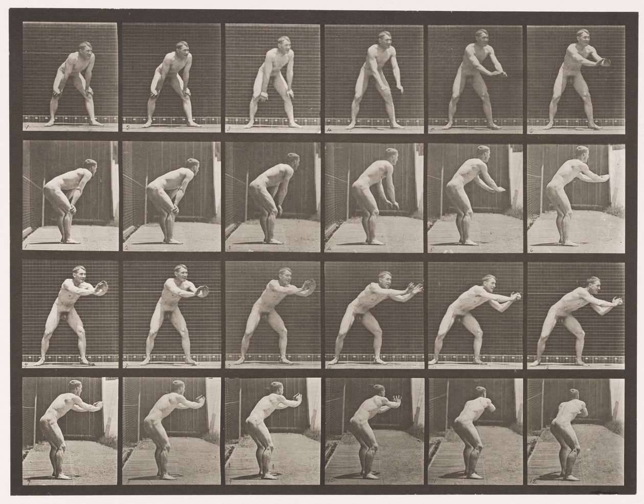 Base-ball; Attraper, 1885 - Eadweard Muybridge