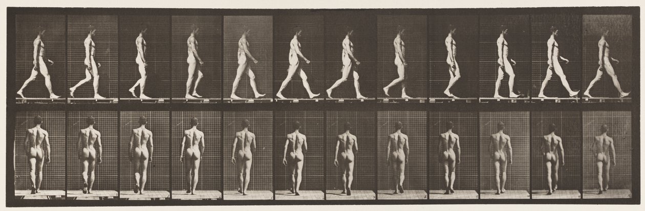 Planche 2. Marche - Eadweard Muybridge