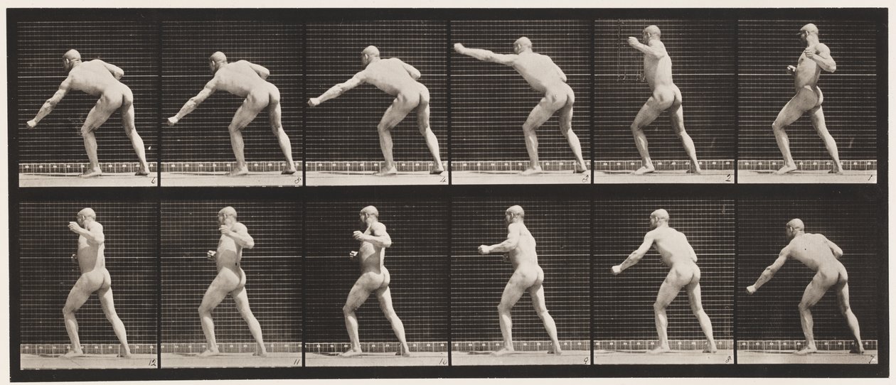 Planche 343. Porter un coup (main gauche) - Eadweard Muybridge