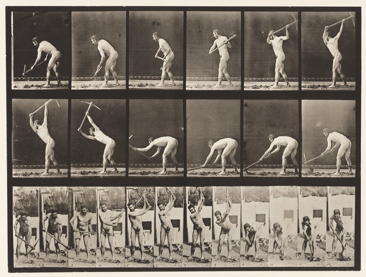 Planche 385. Fermier, utilisant une pioche, 1872-1885 - Eadweard Muybridge
