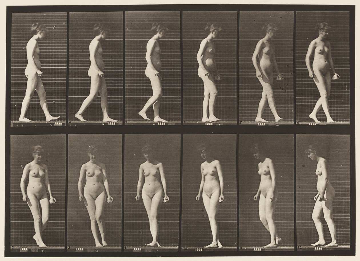 Planche 47. Marcher, et se retourner - Eadweard Muybridge