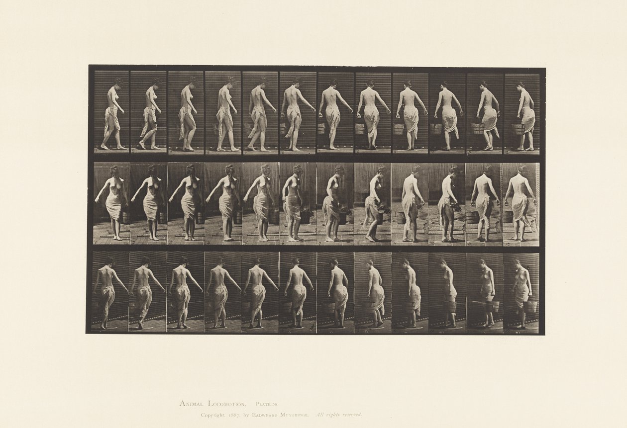 Plaque 50. Marchant, portant un seau - Eadweard Muybridge