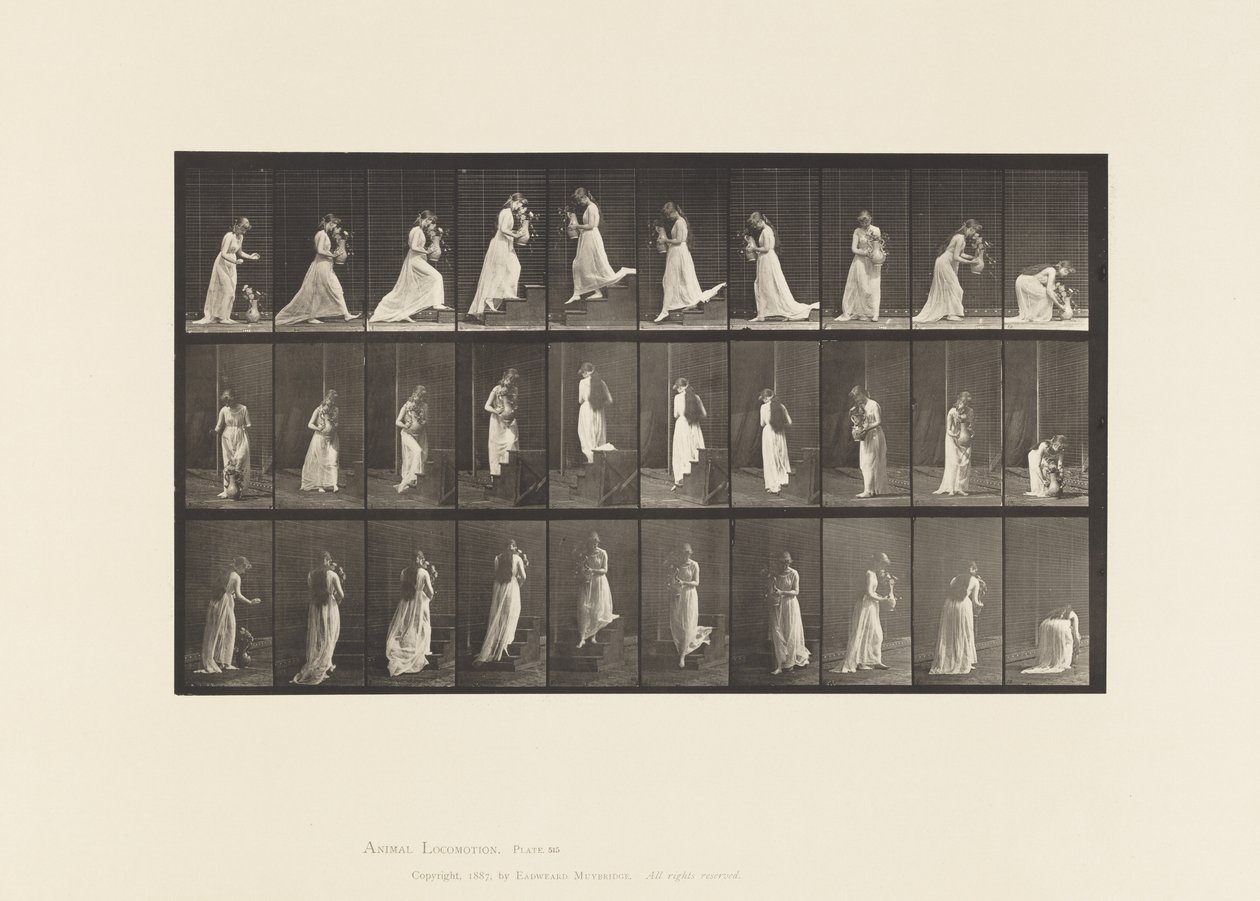 Planche 515. Montée et descente des escaliers, etc., 1885 - Eadweard Muybridge