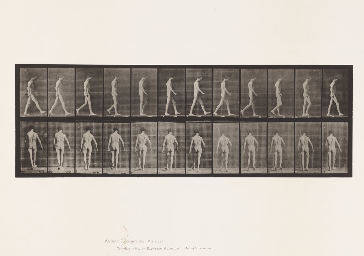 Ataxie locomotrice; Marche - Eadweard Muybridge