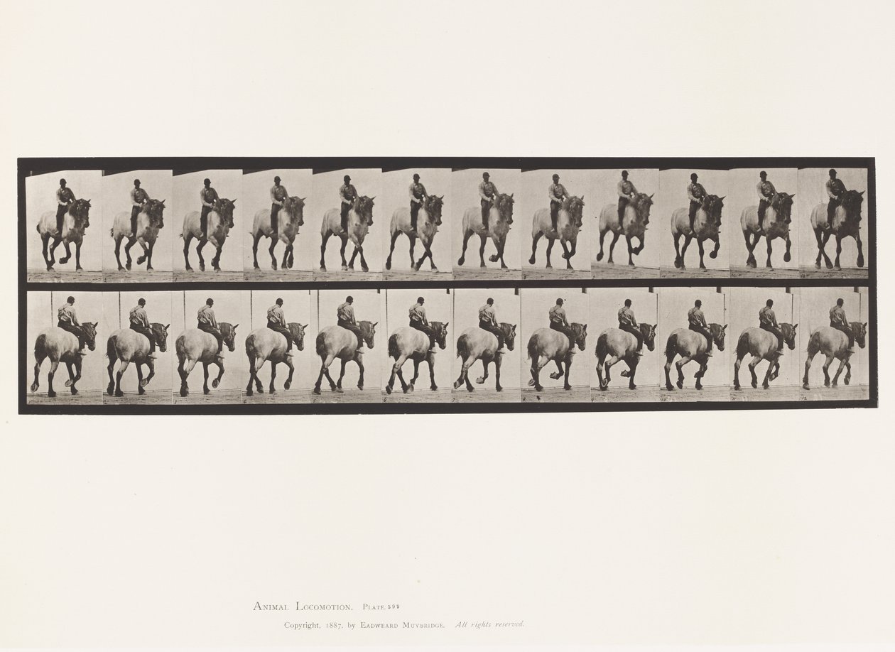 Planche 599. Trot; À Cru; Gris Foncé Dusel - Eadweard Muybridge