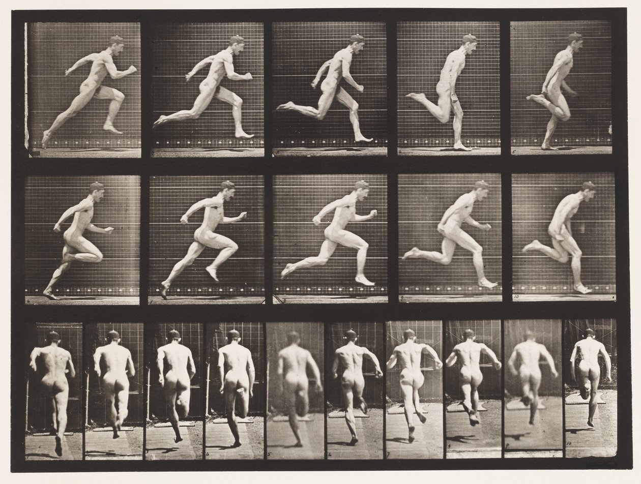 Planche 63. Course à pleine vitesse - Eadweard Muybridge