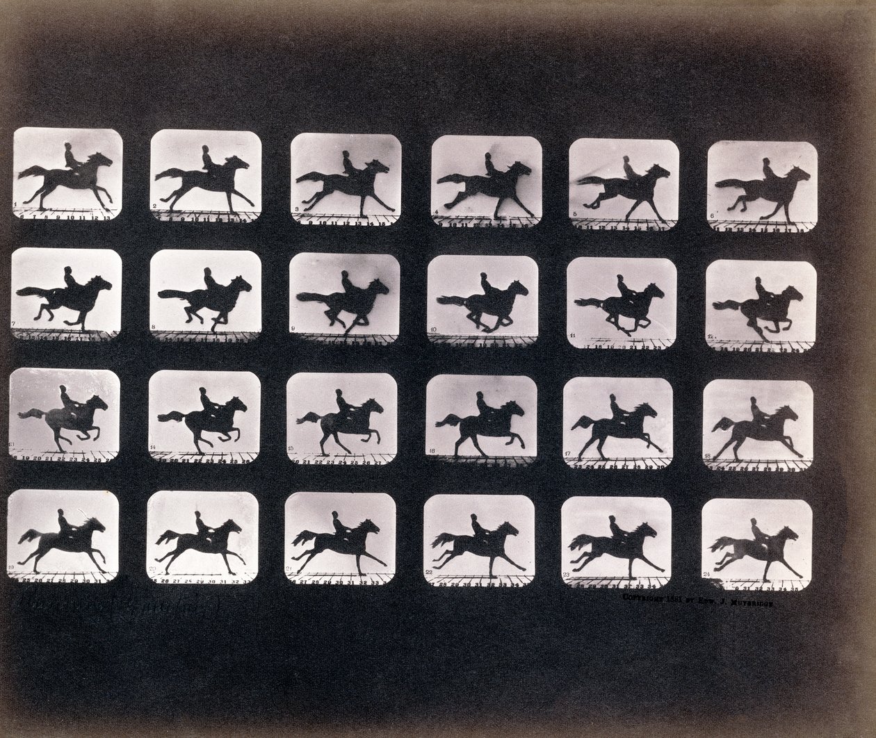 Course (Galop) par Eadweard J. Muybridge - Eadweard Muybridge
