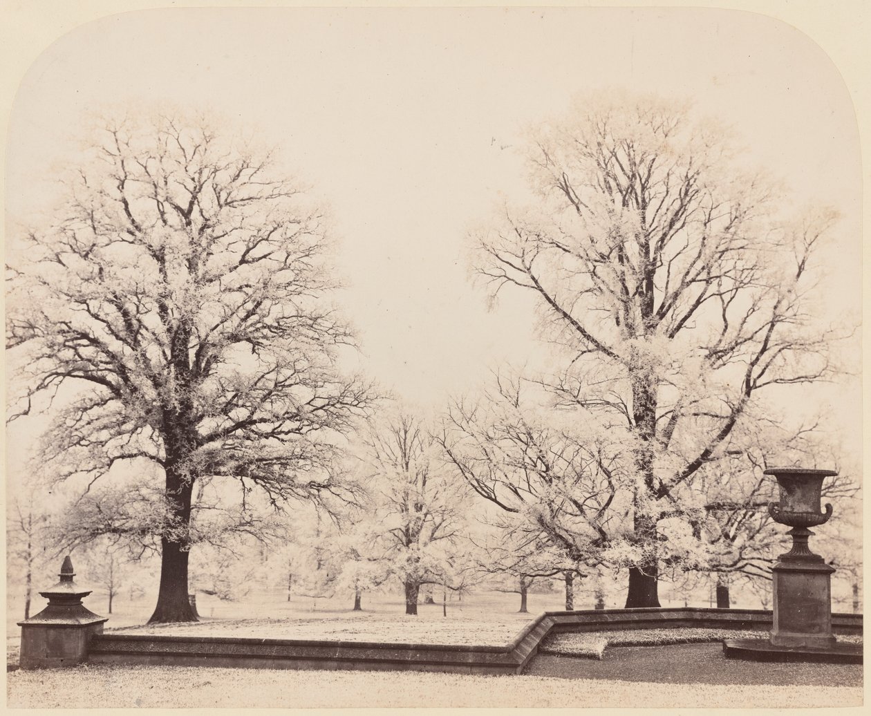 Givre, une scène de parc - Earl of Caithness
