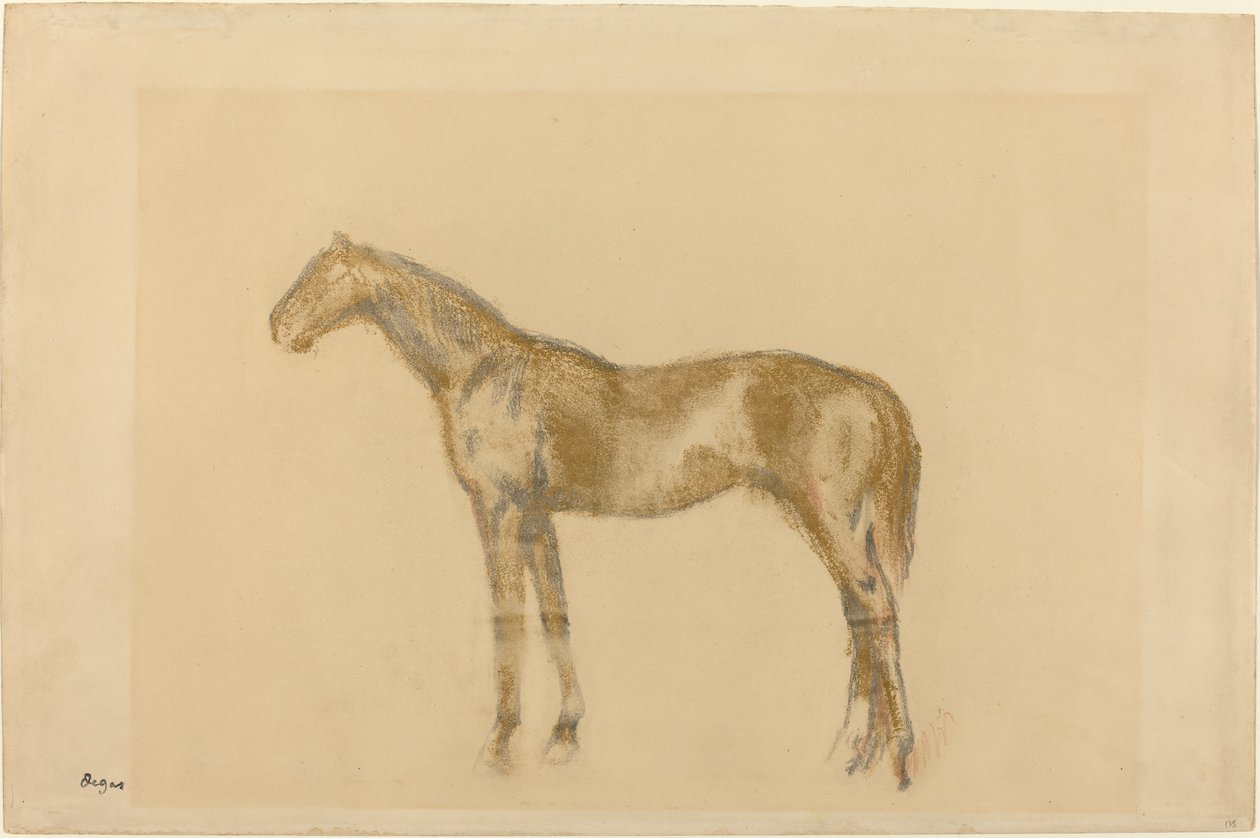 Cheval - Edgar Degas
