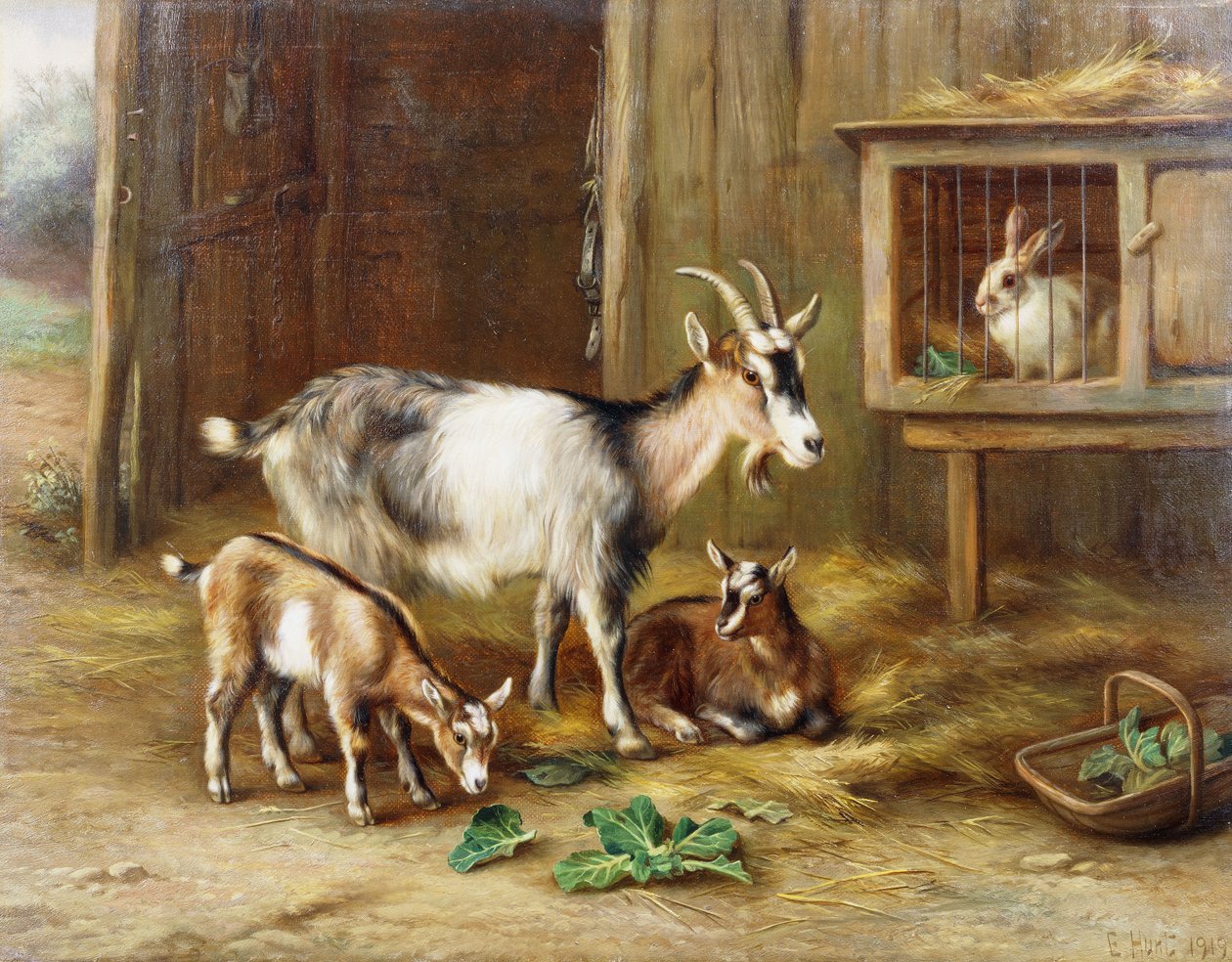 Chèvres près d