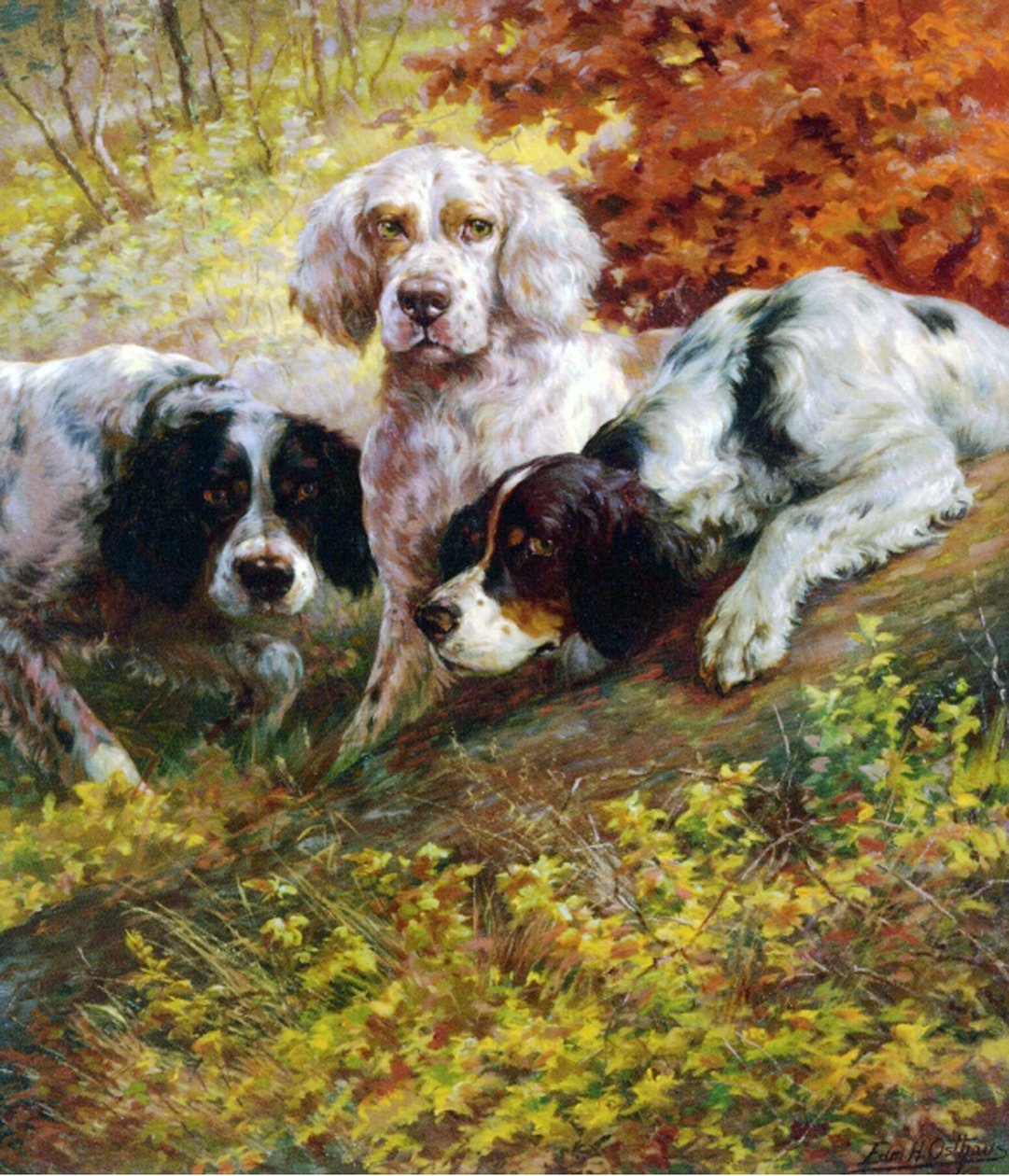 Setters - Edmund Henry Osthaus