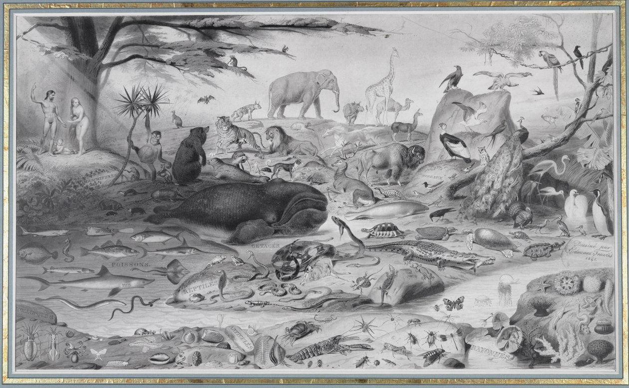 Adam et Ève et les animaux, 1841 - Edouard Travies
