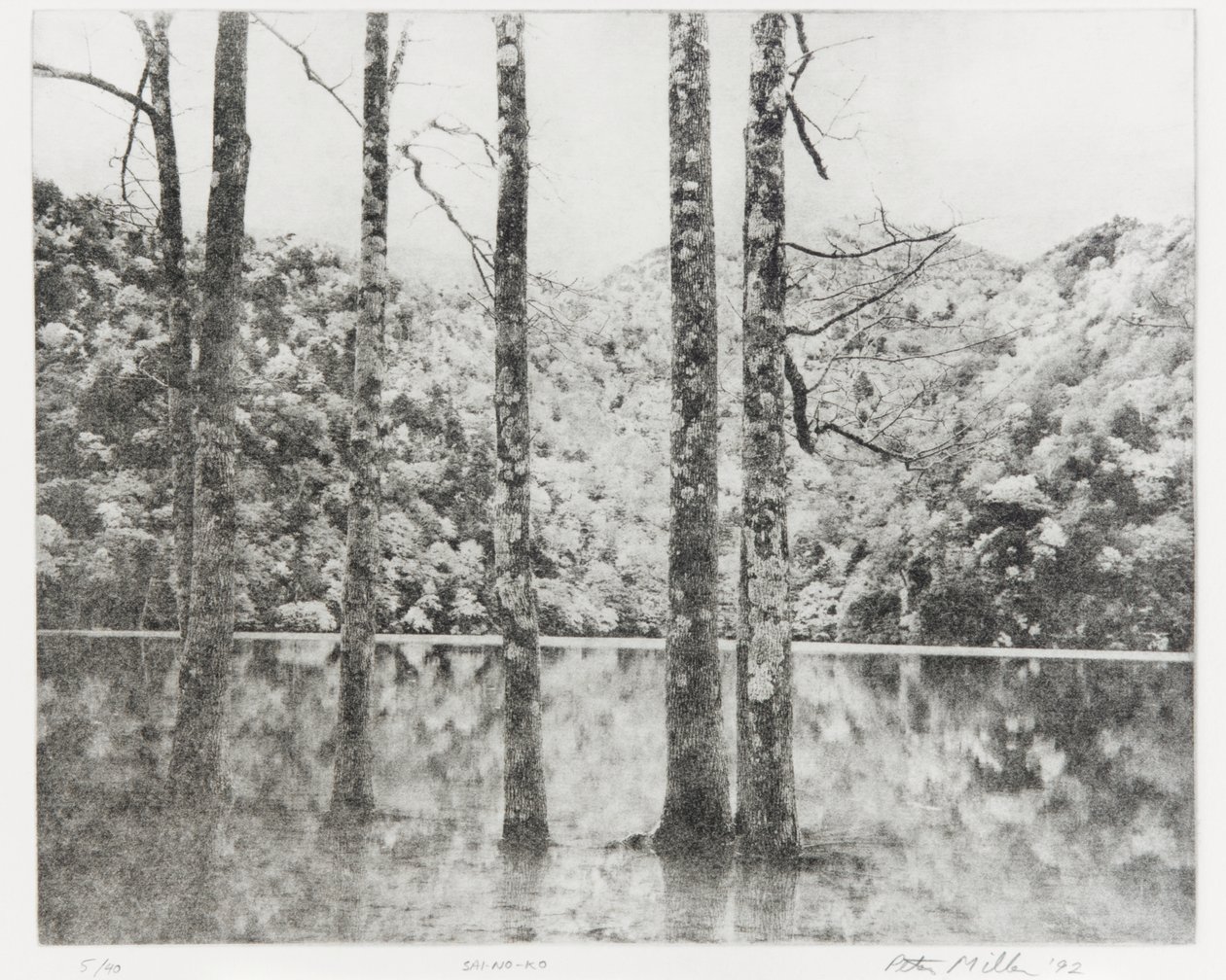 Sai-no-Ko, 1992 - Edouard Cremieux