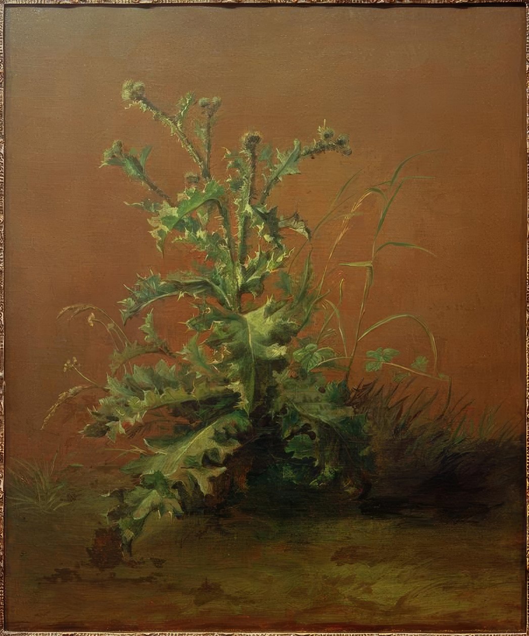 Le chardon - Édouard Manet