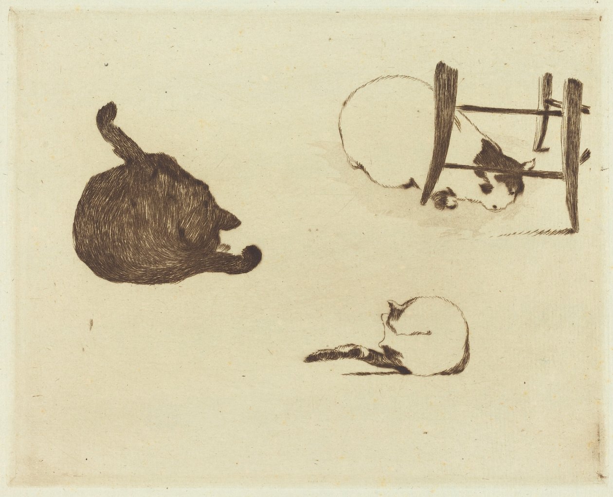 Les chats - Édouard Manet