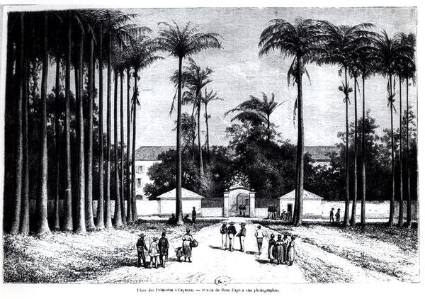 Place des Palmistes, Cayenne, Guyane - Edouard Riou
