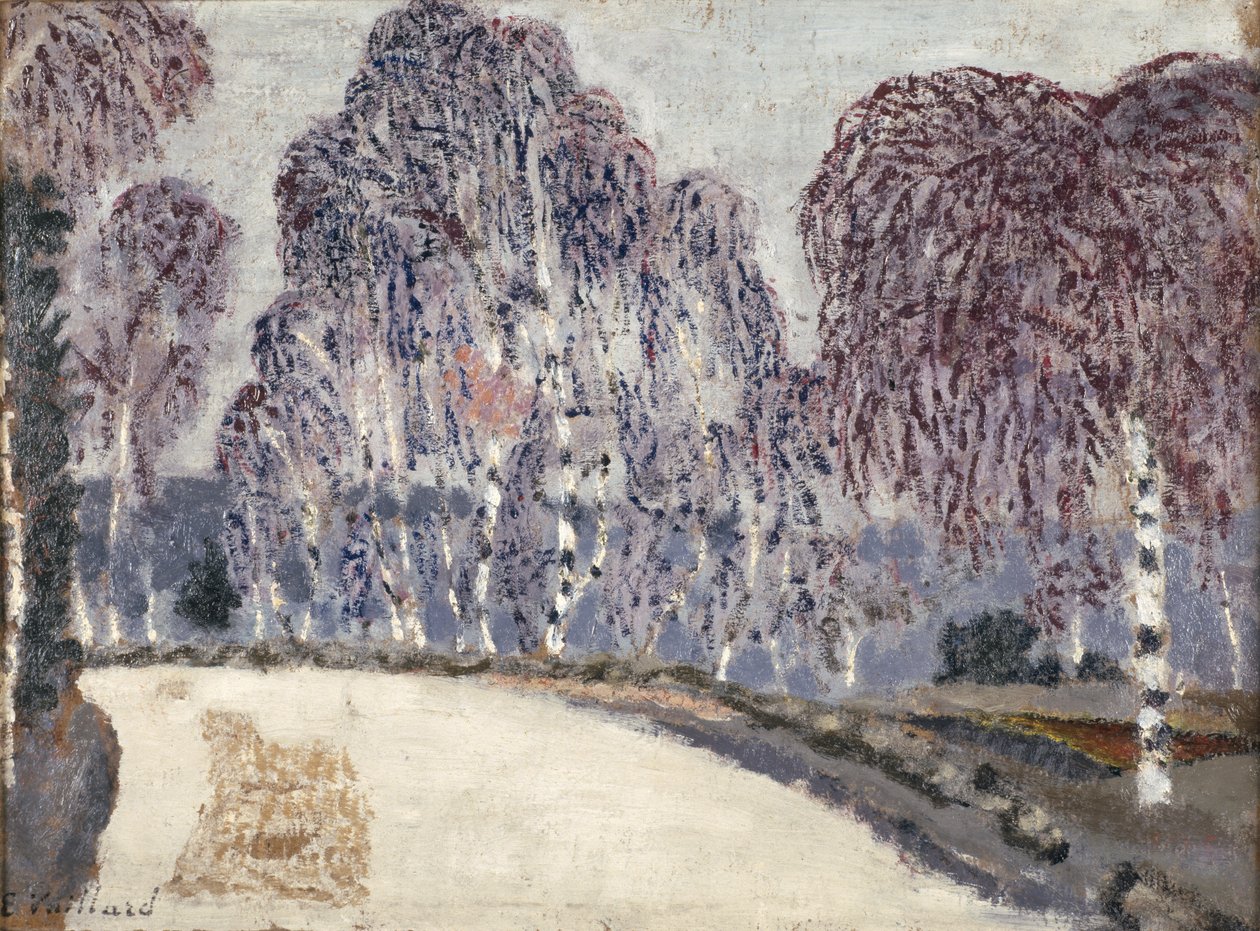 Bouleaux à l