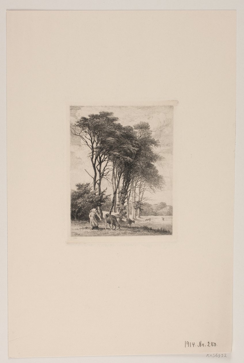 Paysage. Vaches près d