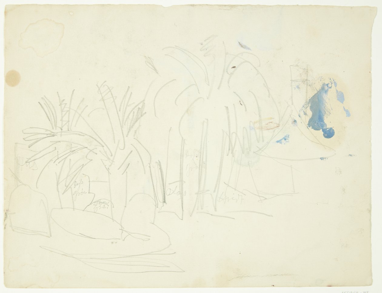 Paysage avec palmiers, Cannes - Edvard Weie