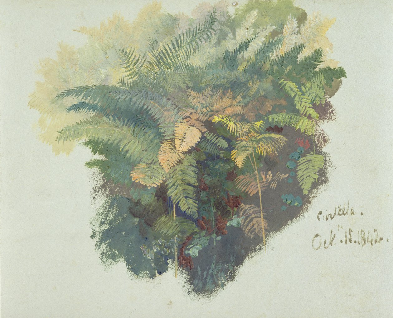 Étude de Fougères, Citivella, 1842 - Edward Lear