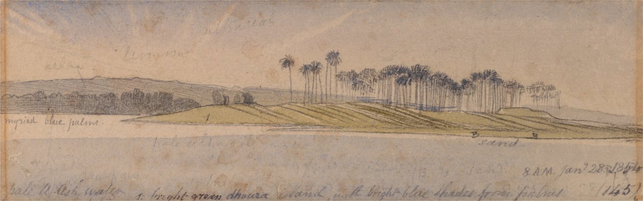 Île Dhoura - Edward Lear