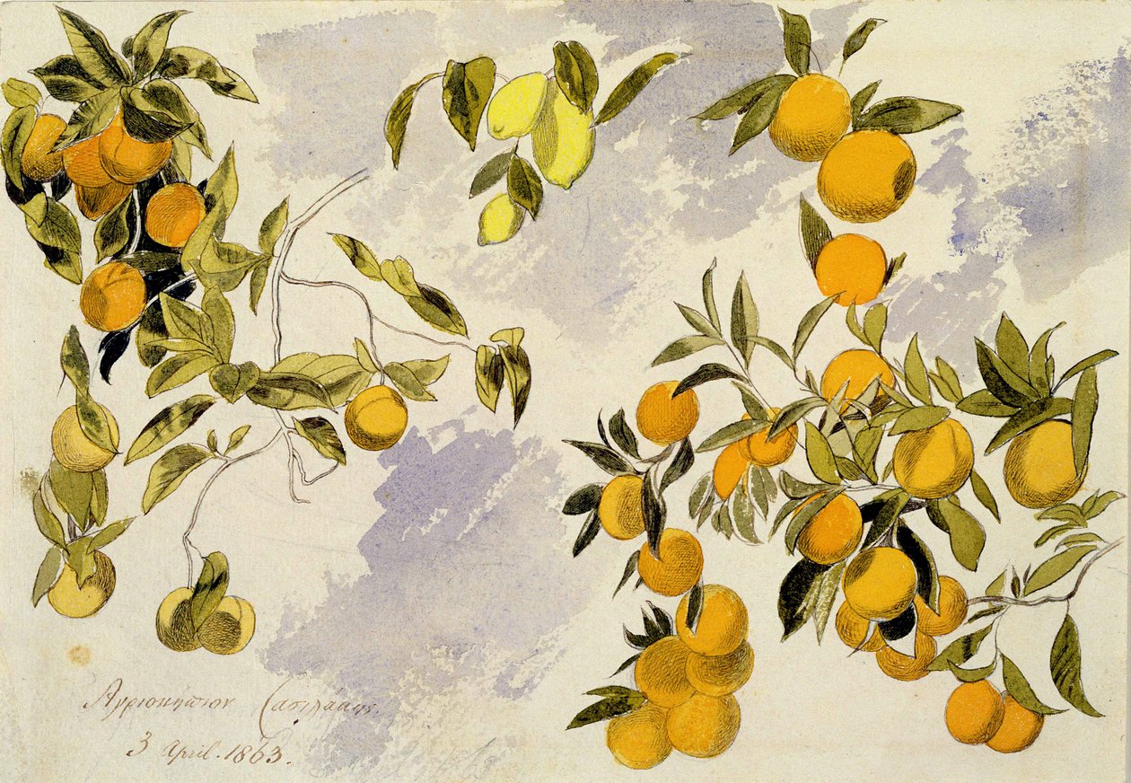 Orangers, 1863 - Edward Lear
