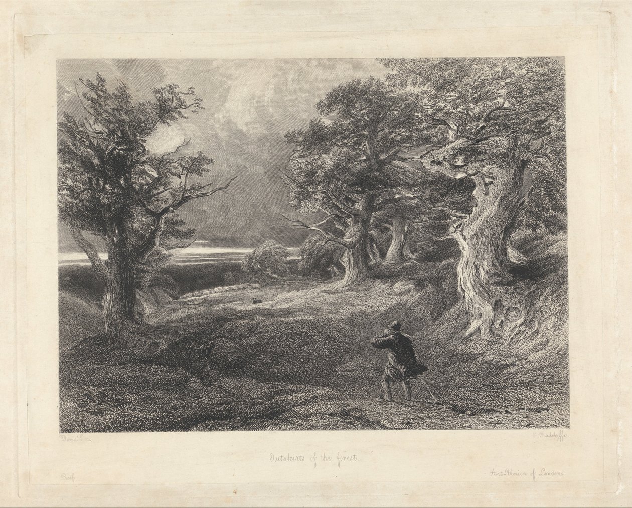 Périphérie de la forêt - Edward Radclyffe