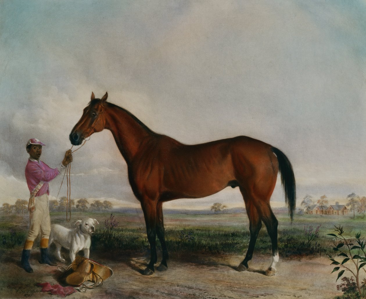 Enquirer, Cheval Bai - Edward (after) Troye