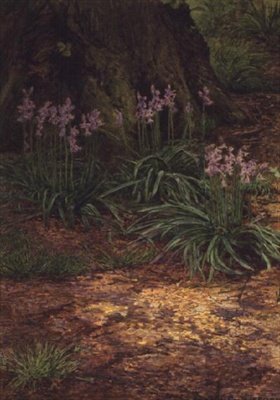Jacinthes des bois - Edward Clifford