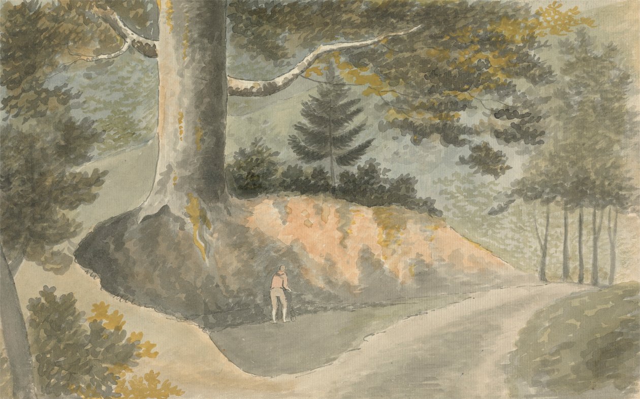 Route dans la forêt - Edward Francis Burney