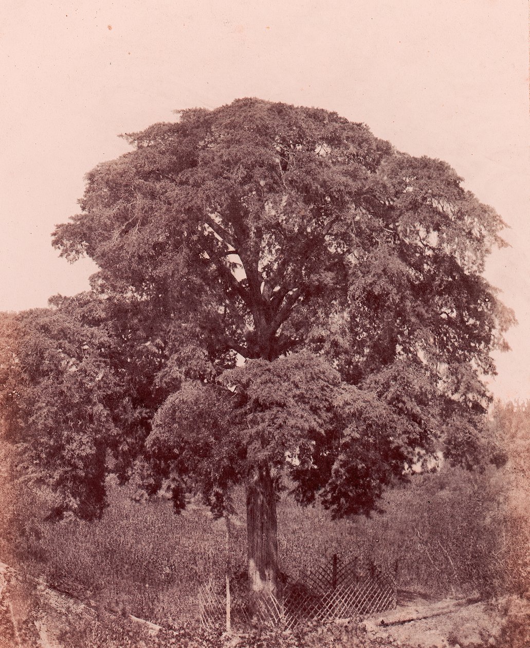 Étude d