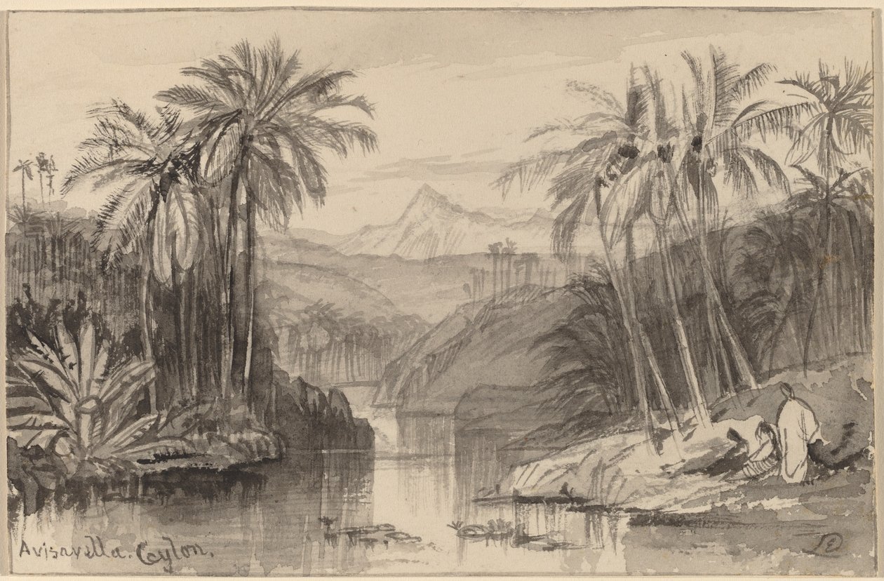 Avisavella, Ceylan - Edward Lear