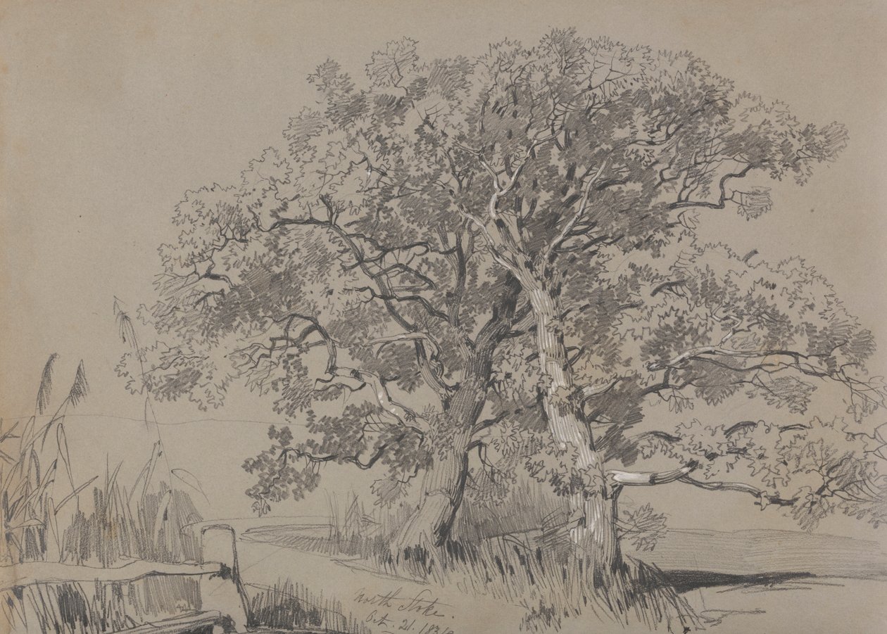 North Stoke. 21 oct. 1834. - Edward Lear